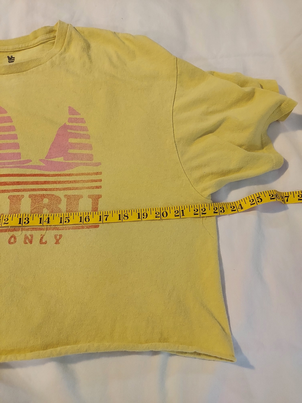 Junk Food Clothing | Malibu "Locals Only" Cropped Boxy Graphic Tee - Picture 4 of 6